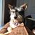 Dale Whittaker Gloude's profile image