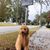Cecilia Spruill's profile image