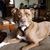 Tracy Baer's profile image