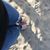 Darlene Carpenter Nelson's profile image