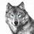 Chely Blumm Sharkey's profile image