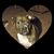 Carolyn Whipple's profile image