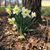 Sheri Towery's profile image