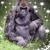 Bobbie Perez's profile image