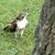 Nancy Nepage's profile image