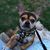 Karen Geiger Parks's profile image