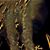 Will Drewry's profile image