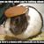 Heather Kendrick Jaeckels's profile image