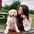 Paige Grillone's profile image