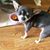 Sue Price's profile image