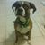 Lucas Botero's profile image