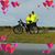 Richard Roerig's profile image