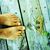 Moona Cancino's profile image