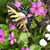 Diana Davis's profile image
