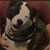 Kevin Fitzgerald's profile image