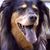 Nancy Drinkwater McGonagle's profile image
