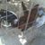 Jose Rodriguez's profile image