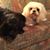Peggy Berry's profile image