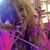 Paula Miller Sorrento's profile image