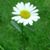 Debbie Ryder's profile image