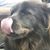 Joelyn Welch's profile image