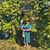 Jennifer Stiffler's profile image