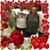 Alice Crossley's profile image