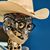 A. Michael Uhlmann's profile image