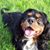 Sheri Clark Leslie Larsen's profile image