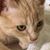 Bronwen Scott Manning's profile image