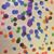 Carolyn Cordeiro-Carvalho Valois's profile image