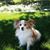 BettyJane Mooney Shane's profile image