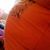 Paige Marie Charlesworth's profile image