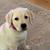 Pamela Hans's profile image