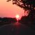 Robert-Dianne Motter's profile image