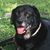 JohnMichael N KarenPierce Bush's profile image