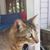 Jo Ann Hall's profile image