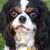 Beverly Gordon Brunner's profile image