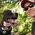 Mark Swindell's profile image