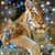 Judy Kraus's profile image