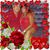 Cita Vega's profile image
