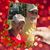 Cynthia Gumm Tillett's profile image