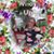 Linda Vasquez's profile image