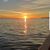 Julie Drews's profile image