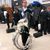 Patricia Bowness Smallwood's profile image