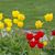 Sandie Sue Koehler's profile image