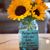 DanielleMarie Lambeck's profile image
