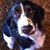 Jodi Zollner Archer's profile image