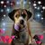 Linda Day's profile image