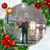 Michael Schmidt's profile image